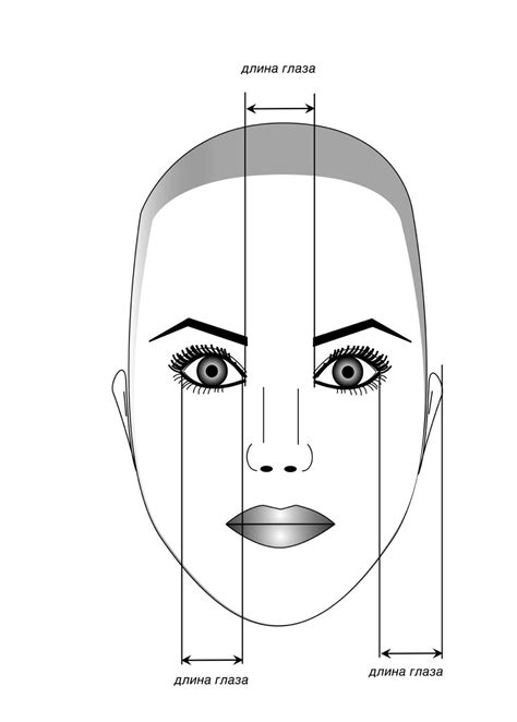 Шаг 1: Определите пропорции глаза