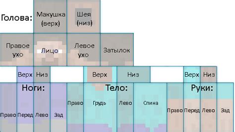 Шаг 2: Загрузите базовый шаблон скина