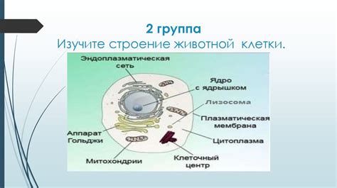 Шаг 2: Изучите разные способы создания клетки