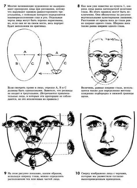 Шаг 2: Очертание форм головы и тела