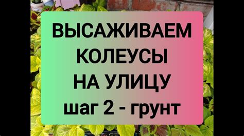 Шаг 2: Подготавливаем рабочую смесь