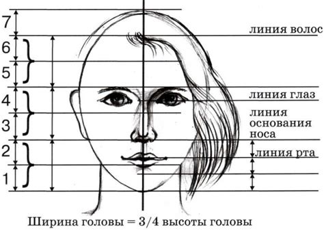 Шаг 2. Начертите общие пропорции лица