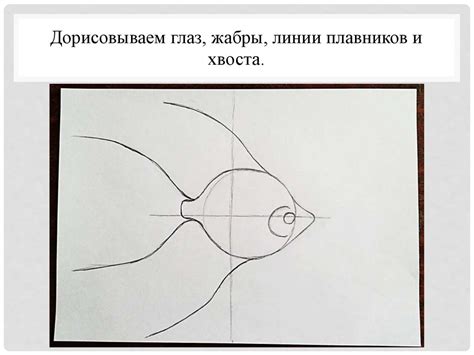 Шаг 3: Рисование глаз, плавников и хвоста