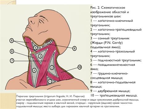 Шаг 3: Схематическое изображение головы и тела