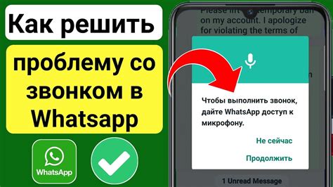 Шаг 4: Включите доступ к микрофону для WhatsApp