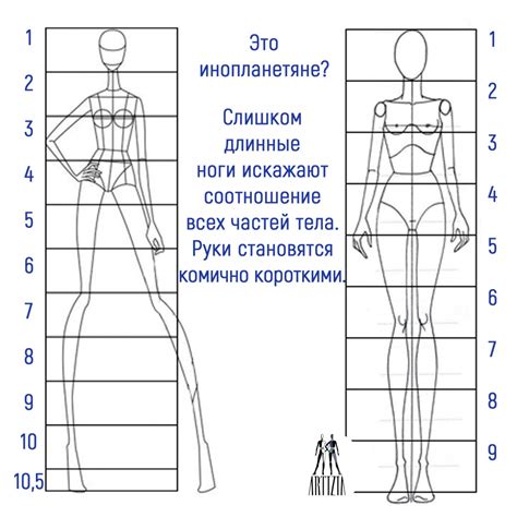 Шаг 5: Законченный эскиз тела для одежды