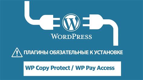 Шаг 5: Приобретите доступ к контенту