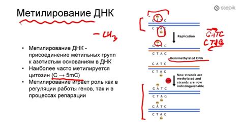 Шаг 9: Исправление возможных проблем