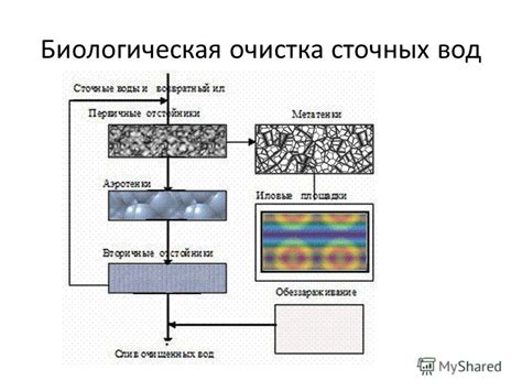 Экологические методы очистки