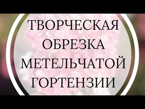 Экспериментируйте и не бойтесь ошибок!