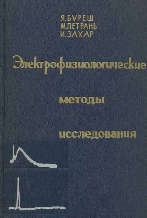 Электрофизиологические методы: возможности и преимущества