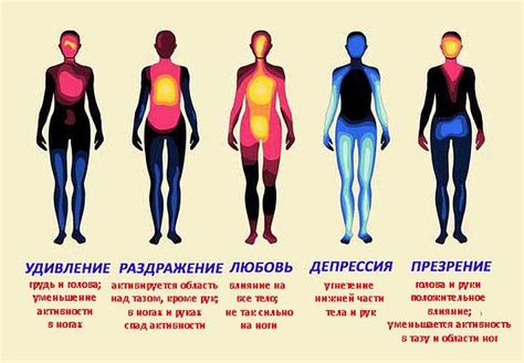 Эмоции и их проявление