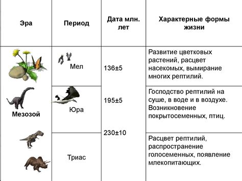 Этапы развития и эволюция