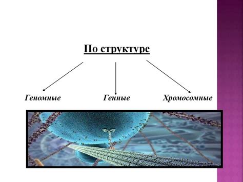 Этап 3: Перехват энергии и мутационный процесс