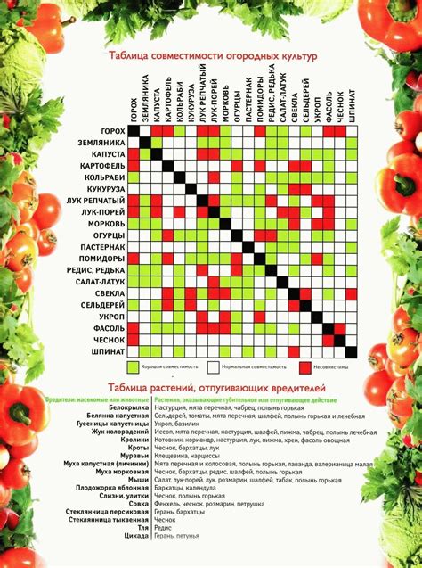 Эффективность и результативность посадки растений