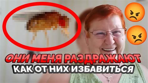 Эффективные домашние методы борьбы с мушкой на лице