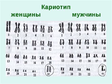 Эффективные способы усиления генетики