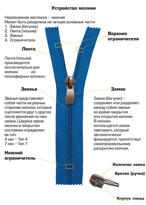 а. Молния-бантик для собачки