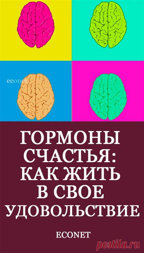  Запросите помощь специалистов 