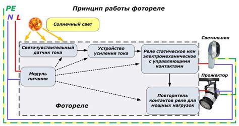  Особенности настройки датчика времени на свет в разных типах помещений 