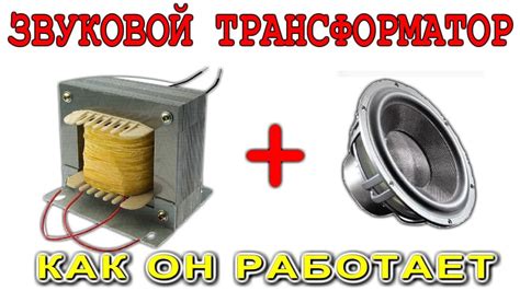  Что такое охмибод и как он работает 