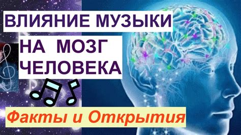 ASMR и его влияние на мозг