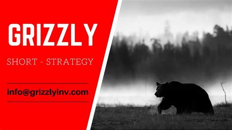 CMS Grizzly: основные функции и возможности