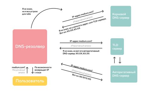 DNS-запросы и кэширование